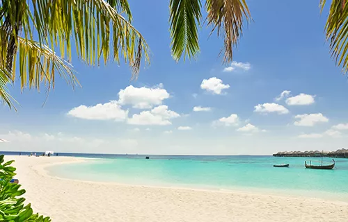 Early leave: everything you need to know for optimum management