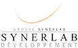 logo-synerlab-developpement