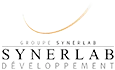 logo-synerlab-developpement