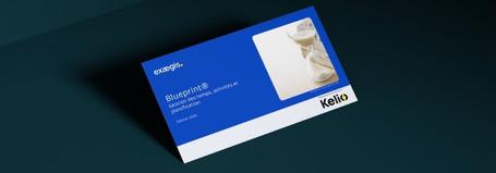 Etude BluePrint Exaegis GTA et planification